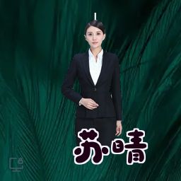 苏晴